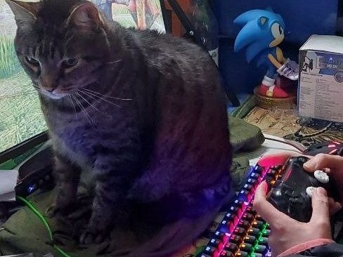 Gaming y streams